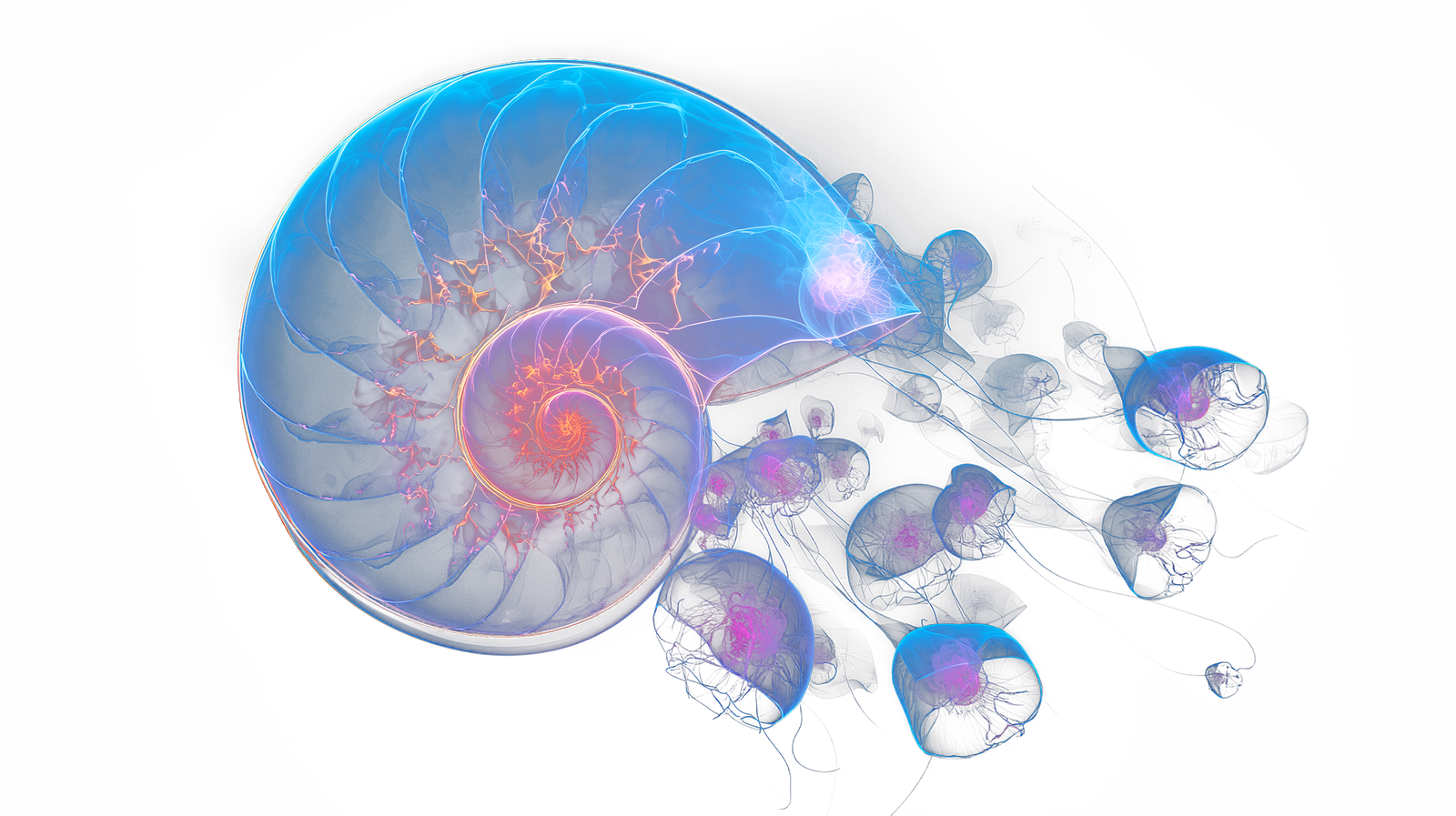 Silvia de masi architecture and exhibit hero background full hd